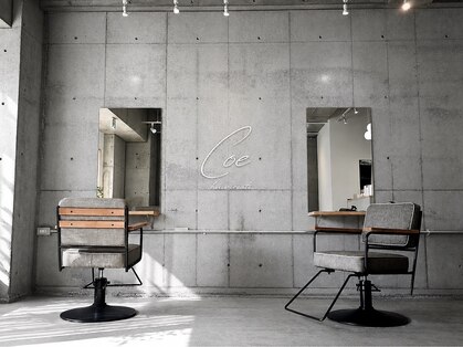 コエ(Coe)の写真