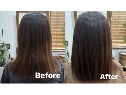 アルブル(Arbre)の写真