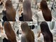 アールプラスヘアサロン(ar+ hair salon)の写真/【ウルトワ【ULTOWA】トリートメント¥11,000~】Aujuaソムリエ在籍◎理想のうるツヤ髪を叶える*