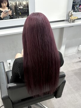 シェイロ(Cielro) ピンクラベンダー【Kentaro】