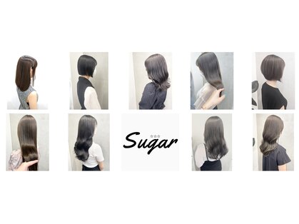 シュガー(SUGAR)の写真