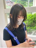 レイヤーカット ミディアムレイヤー