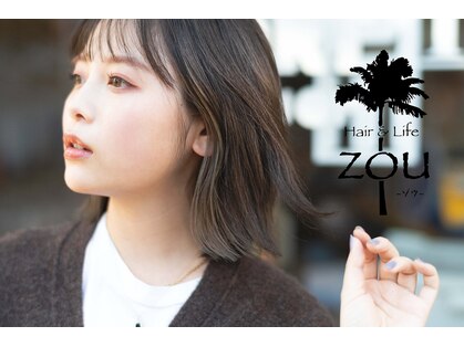 ゾウ(zou)の写真