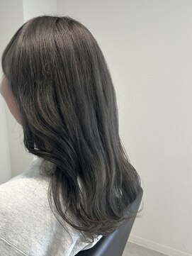 ガーベラ(gerbera) グレーカラー