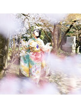 シュシュ(Chouchou.) シニヨン