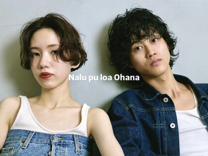 ナループロアオハナ(Nalu pu loa ohana)の写真