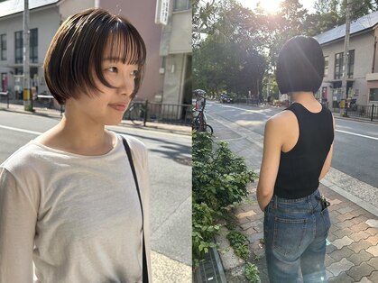 ヒツジ(hitsuji)の写真