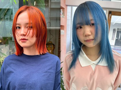 シラフ(SHIRAF)の写真