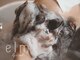 エルムバイエント(elm by emt)の写真