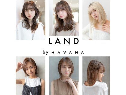 ランドバイハバナ 浅草(LAND by HAVANA)の写真
