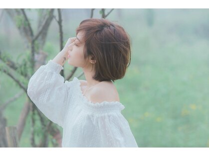 フェアリーパーフェクト(FAIRY PERFECT)の写真