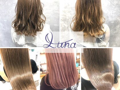 ルナ(Luna)の写真