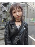 ウルフレイヤーシルバーグレーペールカラーポイントローライト