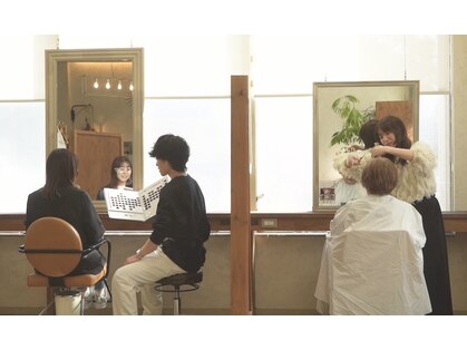 ラヌゴ(lanugo)の写真