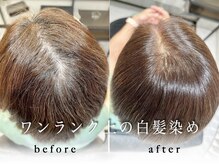 半個室×髪質改善専門 Dears武蔵小杉店【ディアーズ】の雰囲気（傷ませない白髪染めで、乾かしただけでツヤツヤの仕上がりに♪）