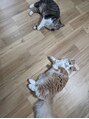 ポジ(poji)&nbsp;愛猫が2匹います。動物大好きです♪
