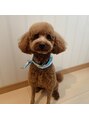 ボリスビアン 大和田店(BorisVian)&nbsp;　犬飼ってます！犬のお話しするの好きです！！