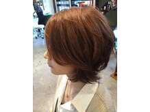 ヘアコプター(HAIR COPTER)