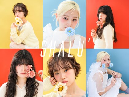 SHALU+【シャルプラス】【9/11NEW OPEN(予定)】の写真