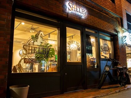 シェルビー(SHELBY)の写真
