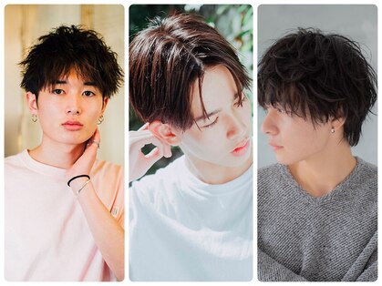 ココチ(Cocochi)の写真