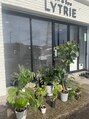 ライトリー(LYTRIE) 植物育てるのが好きです。