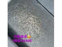 ルートヘアー 湘南藤沢店(Route hair)の雰囲気（白髪抜きor白髪カットも大好評！男女共に同料金☆半個室で施術ok）