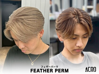 アクロ(ACRO)の写真