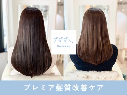 ウミネコ 表参道店(Umineko)の写真