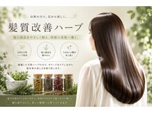 ロアゾブルーミュージアム(L'oiseau Bleu museum)の雰囲気（パサつく白髪染めから、艶が出る白髪染めに！#白髪染め #個室）