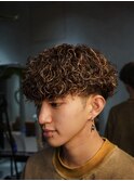 波巻きプードルハイライト