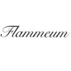 フラミューム 大森(flammeum)のお店ロゴ