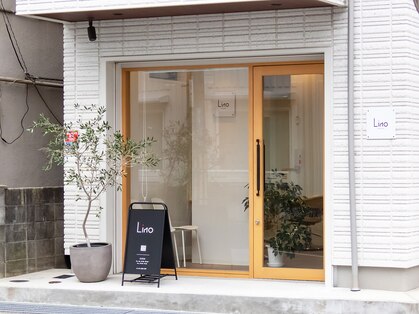 リノ(Lino)の写真