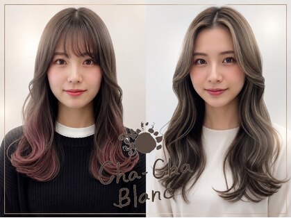 チャチャブラン(cha-cha Blanc)の写真