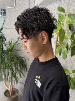 乾かすだけでキマる再現性の高いカットが人気。周りと差がつく“映える”メンズスタイルならSTELLA 501へ。