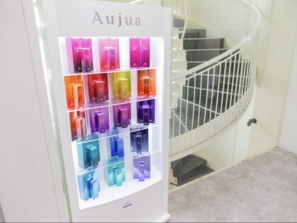 リラ(LILAC)の写真