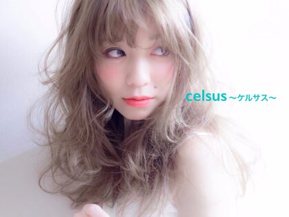 ケルサス(celsus)の写真