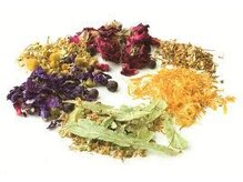 ステラのこだわり抜いたオーガニックカラーは、一般のカラーより、刺激や臭いもきつくないと好評です。