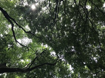 Bute 925【ビュート】