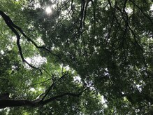 ビュート925(Bute 925)