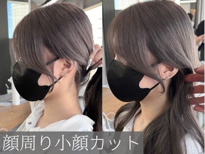 センス(SENSE.)の写真