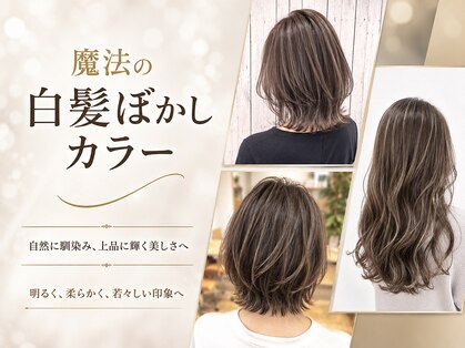 今日の彼女の髪は魔法的の写真