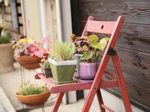サロンの中も外も植物がいっぱいで癒されます♪