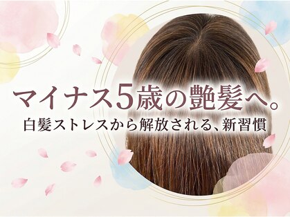 メンズアンドレディース モテナの写真