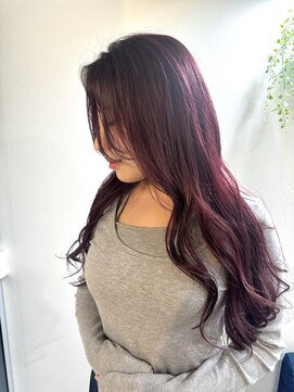 エルパライソ リフォ(Elparaiso Reff) ボルドーカラー