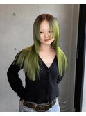 Lime/ライムグリーン