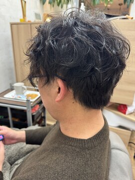 ガーベラ(gerbera) 短めサーフカール