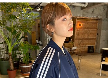 gemini【ジェミニ】