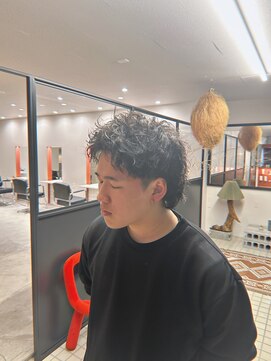 ノイ(noi) ピンパーマウルフ