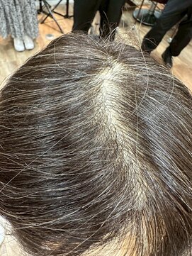 ブリッツ レボ(BLITZ-REVO) 着物ヘア/ダークアッシュ/ミディアムレイヤーカット/柏駅